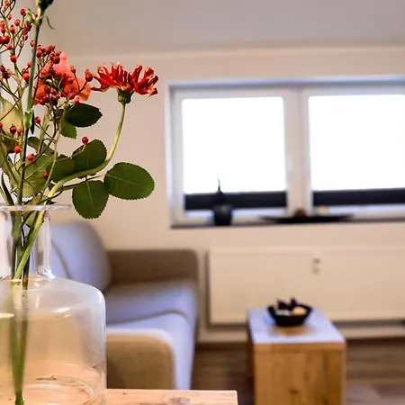Smart Resorts Haus Saphir Ferienwohnung 510 Appartement Winterberg